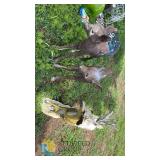 Large Concrete Outdoor Deer Garden Statues Set – Buck and Two Fawns – Realistic Design