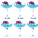 $26 Vikko Martini Glasses Set of 6, Crystal Clear 8.5 Ounce Coupe Glasses with Small Stem, Cosmopolitan Glasses for Martini, Vodka, Cocktail, Short Stemmed