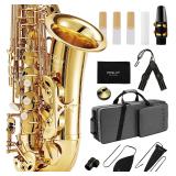 $300 Fesley Saxophone E Flat Alto Saxophone: Saxof n Alto for Professional, Sax for Beginners & Students, Saxophones with Reeds, Neck Strap, Sax Case & Portable Cleaning Kit, Gold