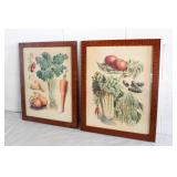 Two Framed Vegetable Prints