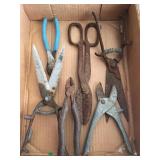 Rusty Yard and Hand Tools