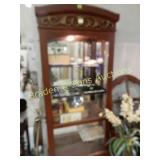 CONTEMPORARY 84" X 37" LIGHTED DISPLAY CASE