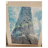 GROUP OF 2 FRAMED PRINTS.