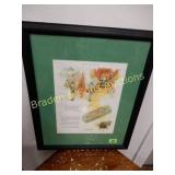 FRAMED 13" X 10" WRIGLEY