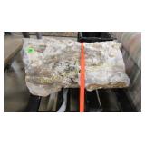 30" PETRIFIED LOG