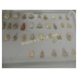 TRAY OF NATIVE AMERICAN POINTS FOUND IN CENTRAL TX