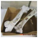 GROUP OF 2 HAND PAINTED COW BONES