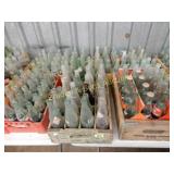 GROUP OF 5 ASSTD SODA POP CRATES WITH