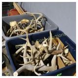 GROUP OF 2 TUBS OF DEER ANTLERS ETC.