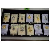 GROUP OF 12 HORNY TOAD NECKLACES