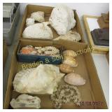 GROUP OF 2 BOX OF ASSTD SEA SHELLS