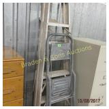 LADDER AND STEP LADDER ( LADDER BROKEN)