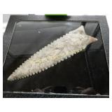 NATIVE AMERICAN 5" CLASSIC DALTON POINT