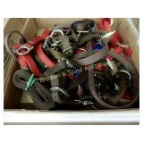 GROUP OF 10 NEW HORSE HALTERS
