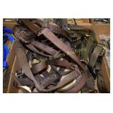 GROUP OF 5 NEW NYLON HORSE HALTERS