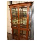 CONTEMPORARY LIGHTED DISPLAY CASE MEASURES 81"