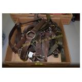 GROUP OF 5 NYLON HORSE HALTERS