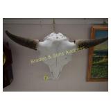 BUFFALO SKULL