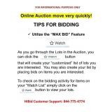 Auction Information - Helpful Hint