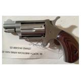 North American Arms Naa-22ms