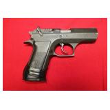 Magnum Pistol Mod Desert Eagle W/mag