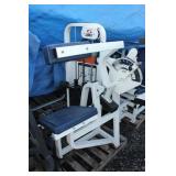 Cybex Back Extension