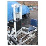 Life Fitness Rotary Calf