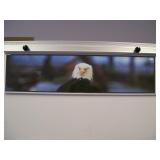 Art Titled The Commander