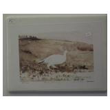 Art Titled Rock Ptarmigan