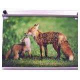 Art Titled Red Fox & Baby