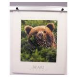 Art Titled Bear! Alaska 2001