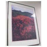 Art Titled Thompson Pass