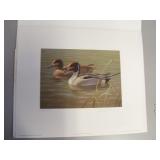 1987 Arizona Waterfowl Stamp Print