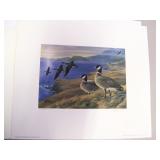 1996 Alaska Waterfowl Conservation Stamp Print