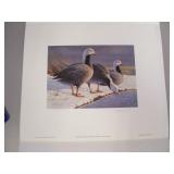 1985 Alaska Waterfowl Conservation Stamp Print