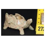 McCoy Turtle McCoy Turtle