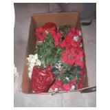 poinsettias