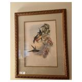 Framed bird print