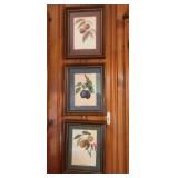 Framed pictures