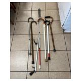 Canes and walking sticks