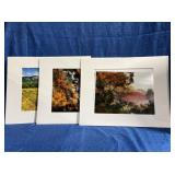 Matted prints