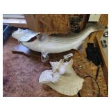 Taxidermy fish and conch shell
