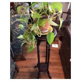 Plant stand and plant