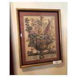 Robert Furber ï¿½Twelve months of flowers ï¿½ December