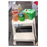 Step stool and cleaning products.