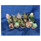 Artificial Mini Succulents