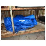 Tarp
