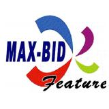 Max Bid Instructional Link