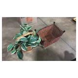 2 BASKETS & FAUX HOUSEPLANT
