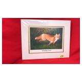 'BREAKING COVER' UNFRAMED PRINT BY FRANKIE PARDOE